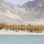 tibet-01