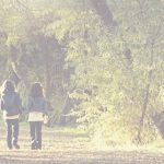 header_beitrag_schule_allgemein-01