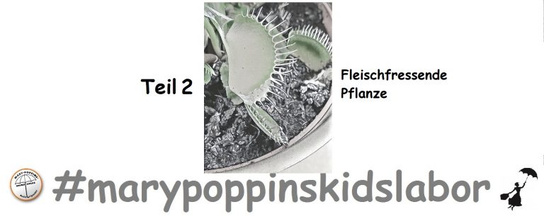 #marypoppinskidslabor – Teil 2
