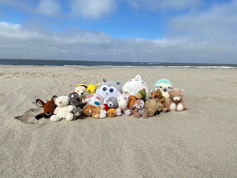 Unsere Klassenfahrt (5d) nach Hörnum auf Sylt